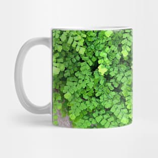 Green Maidenhair Fern For Gardeners Nature Lovers Mug